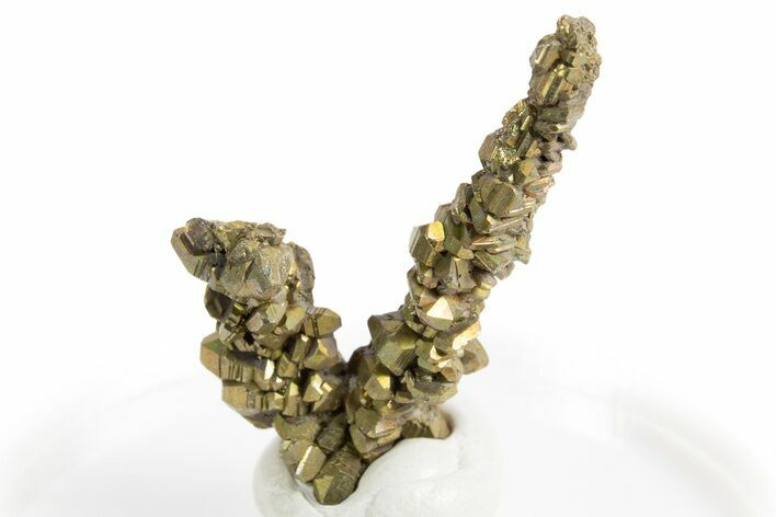 Glistening Marcasite Crystal Stalactite - Linwood Mine, Iowa #326016